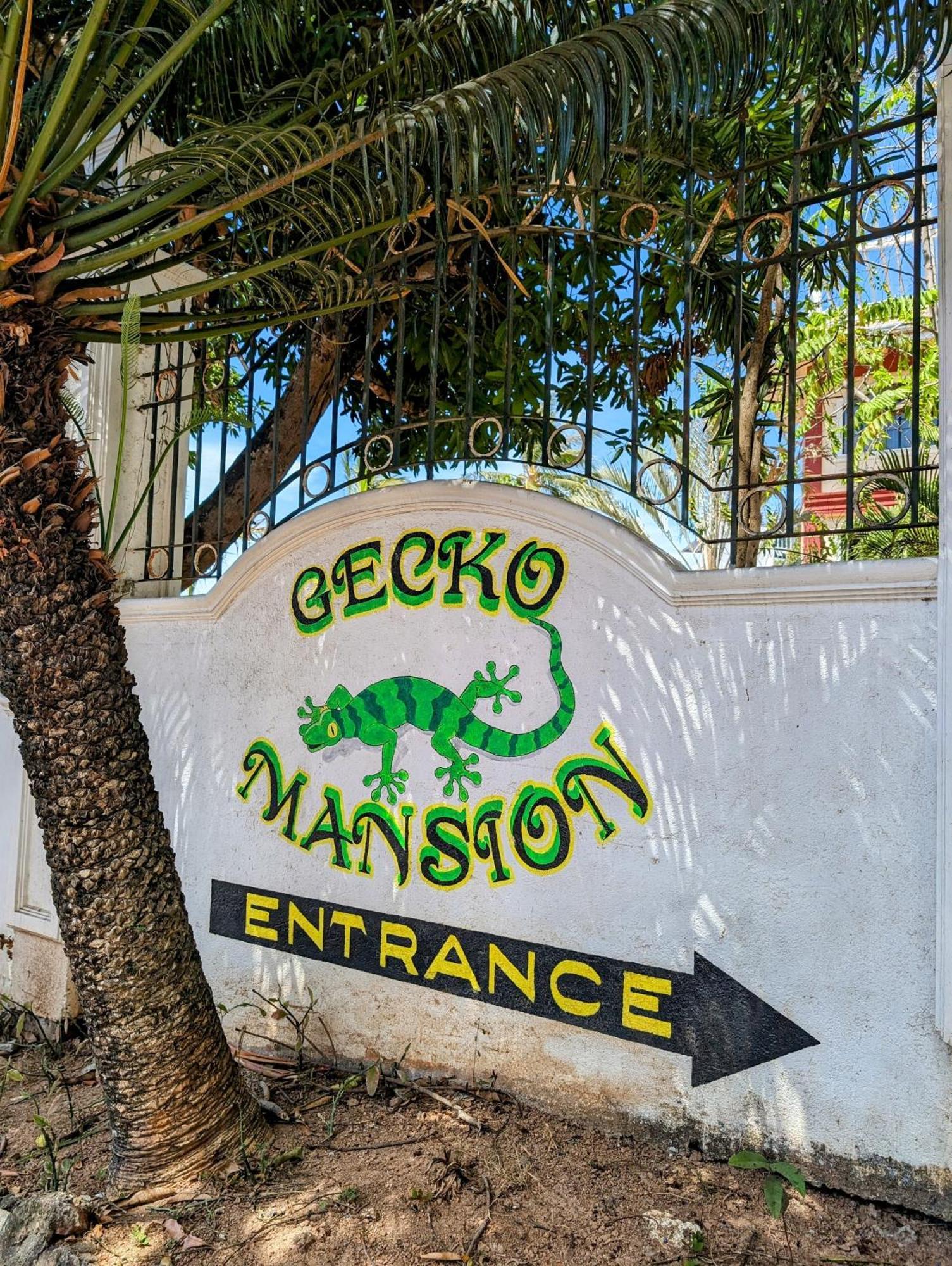 Screaming Gecko Hostel Busuanga Εξωτερικό φωτογραφία