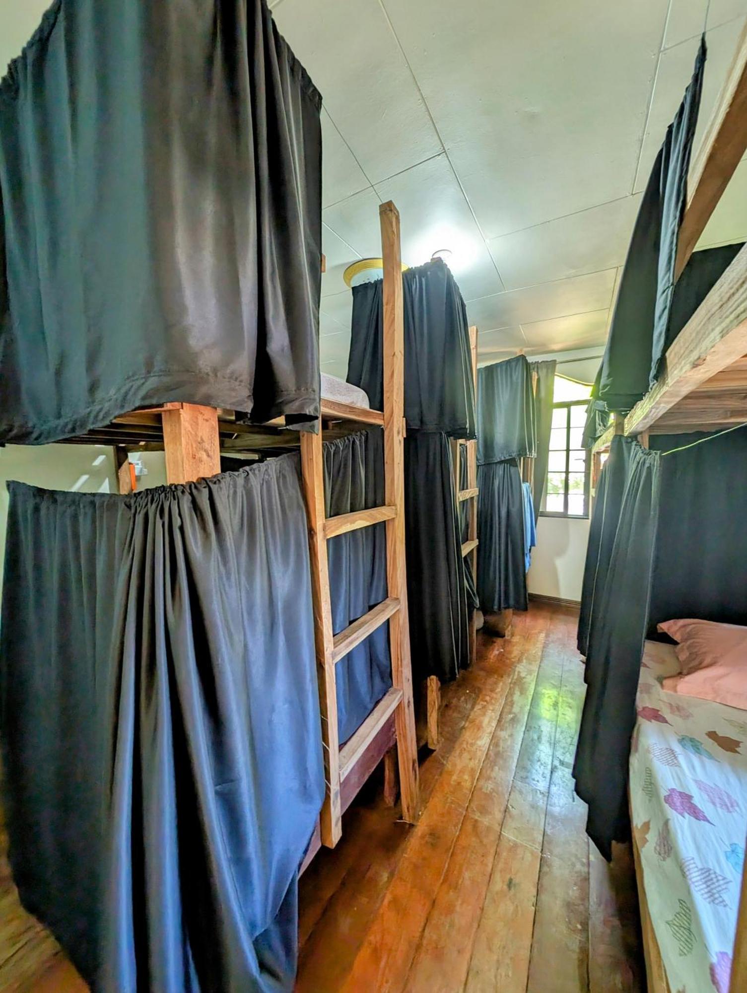 Screaming Gecko Hostel Busuanga Εξωτερικό φωτογραφία