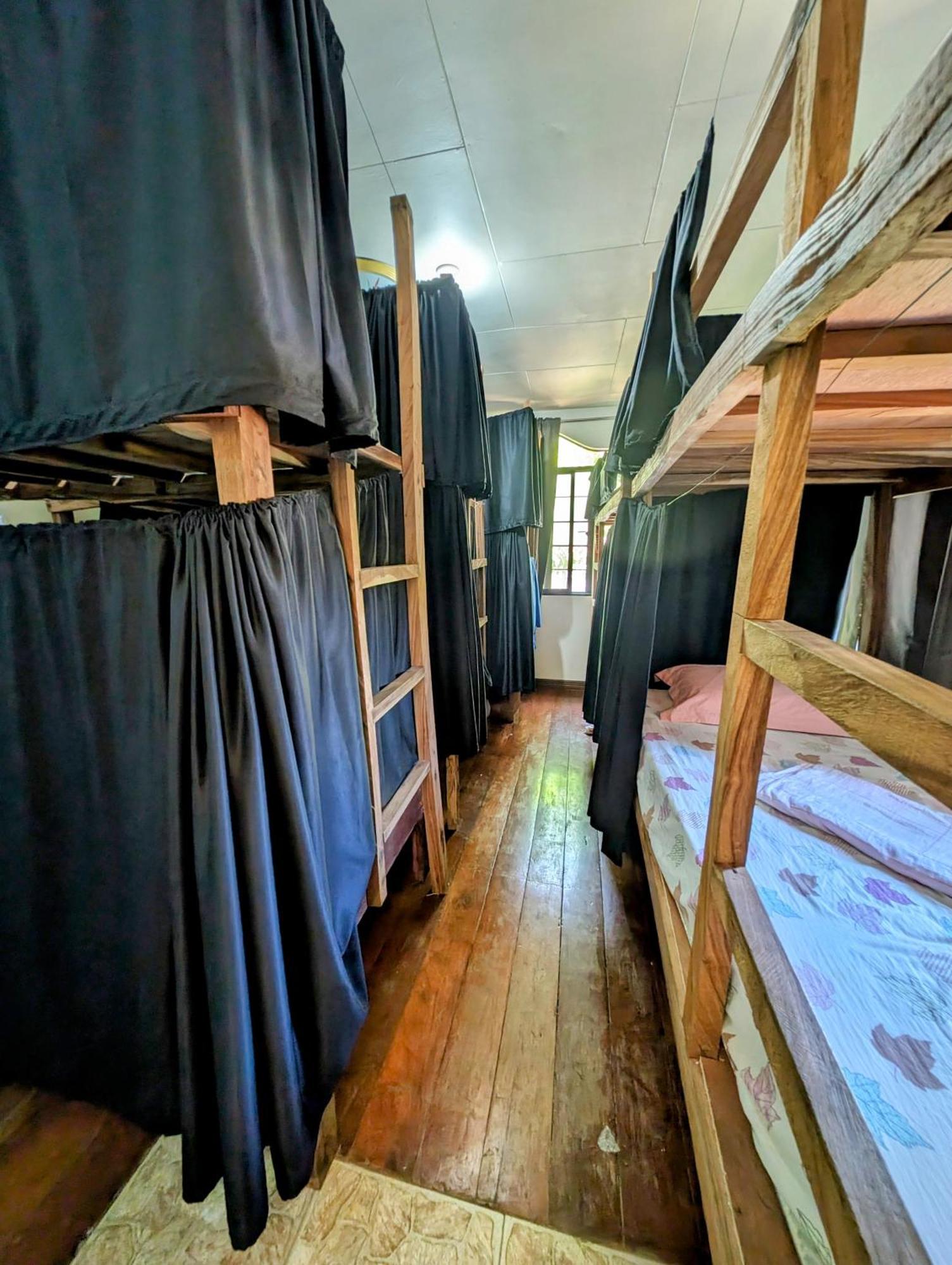 Screaming Gecko Hostel Busuanga Εξωτερικό φωτογραφία